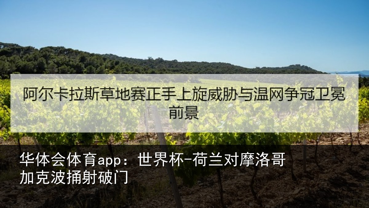 华体会体育app：世界杯-荷兰对摩洛哥加克波捅射破门