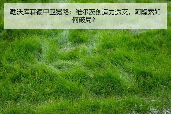 lei-wo-ku-sen-de-jia-wei-mian-lu-wei-er-ci-chuang-zao-li-tou-zhi-a-long-suo-ru-he-po-ju-3-761.jpg