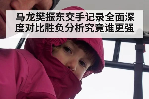 马龙樊振东交手记录全面深度对比胜负分析究竟谁更强